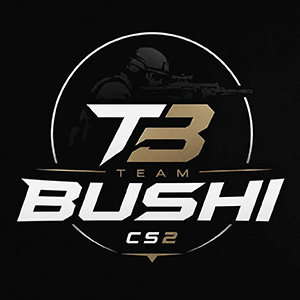 TeamBushi